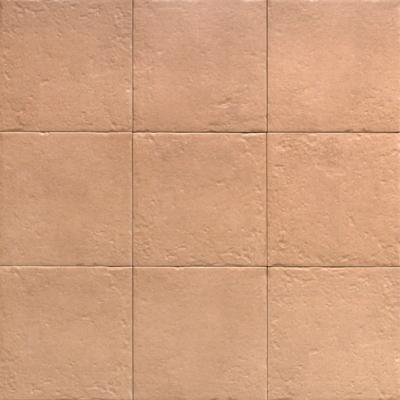 Terra Monocolor 20x20cm