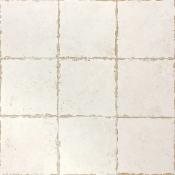 Antigua Monocolor Blanco 20x20cm